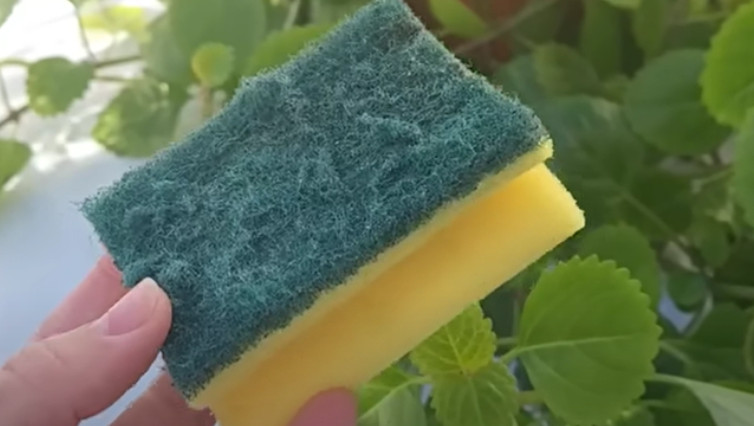 NlKADA NE BACAJTE STARl SUNĐER: Kada vidite čemu služi čuvat ćete ga kao oči u glavi!!TRlK KOJl JE 0BIŠAO ClJELI SVlJET!!!! - content image