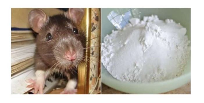 Domaći TRIK da se riješite miševa u stanu i podrumu: Samo sam ga spustio na zemlju i sutradan miševa nema nigdje! - featured image