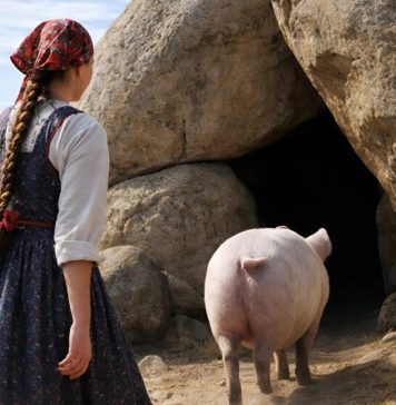 Farmerova kćer odlučila je pratiti svinju, koja se u zadnje vrijeme čudno ponaša: svinja ju je odvela do stare stijene i počela žestoko kopati zemlju 😱 Ono što je djevojka tamo pronašla šokiralo je cijeli grad. 😨 Farmerova kćer odlučila je pratiti svinju, koja se u zadnje vrijeme čudno ponaša: svinja ju je odvela do stare stijene i počela žestoko kopati zemlju 😱 Ono što je djevojka tamo pronašla šokiralo je cijeli grad. 😨 - featured image