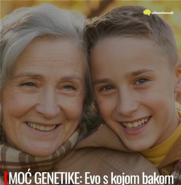 MOĆ GENETIKE: Evo s kojom bakom smo najviše povezani i čije gene posebno prisvajamo MOĆ GENETIKE: Evo s kojom bakom smo najviše povezani i čije gene posebno prisvajamo - featured image