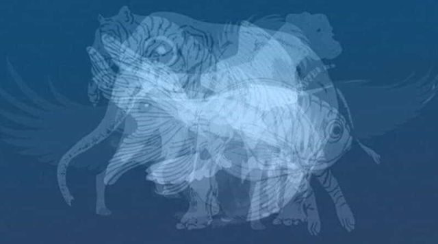 Životinja koju prvu vidite na slici otkrit će do gole kože vaš karakter: Jeste li spremni? - featured image