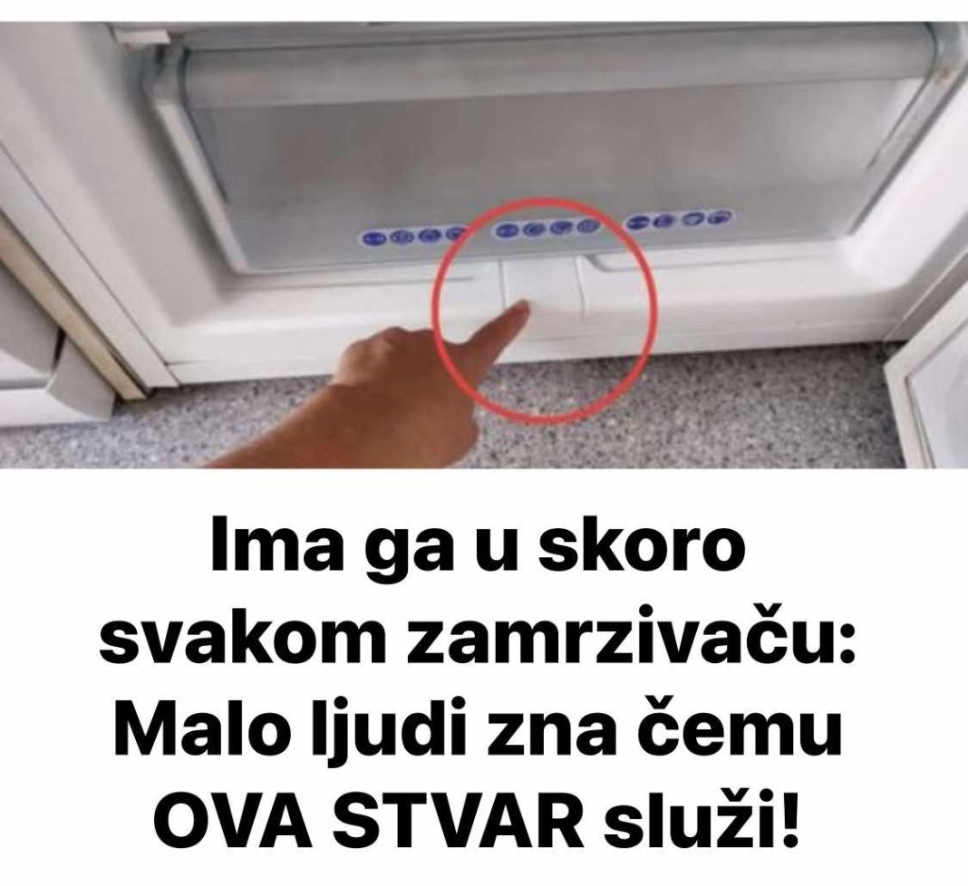 Ima ga u skoro svakom zamrzivaču: Malo ljudi zna čemu OVA STVAR služi! - featured image Ima ga u skoro svakom zamrzivaču: Malo ljudi zna čemu OVA STVAR služi! - featured image