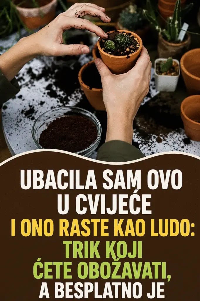 UBACILA SAM OVO U CVIJEĆE I ONO RASTE KAO LUDO: Trik koji ćete obožavati, A BESPLATNO JE - featured image UBACILA SAM OVO U CVIJEĆE I ONO RASTE KAO LUDO: Trik koji ćete obožavati, A BESPLATNO JE - featured image